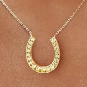 Gorgeous upscale Neiman Marcus 18KT vermeil Citrine Large Horseshoe necklace